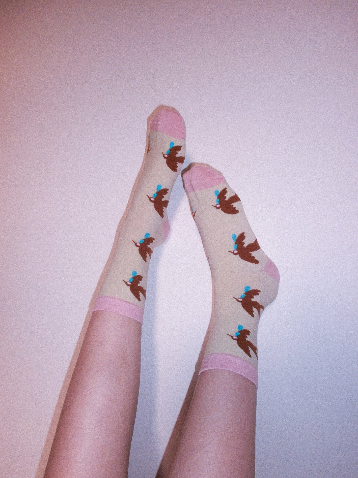 Crying Swallow Socks